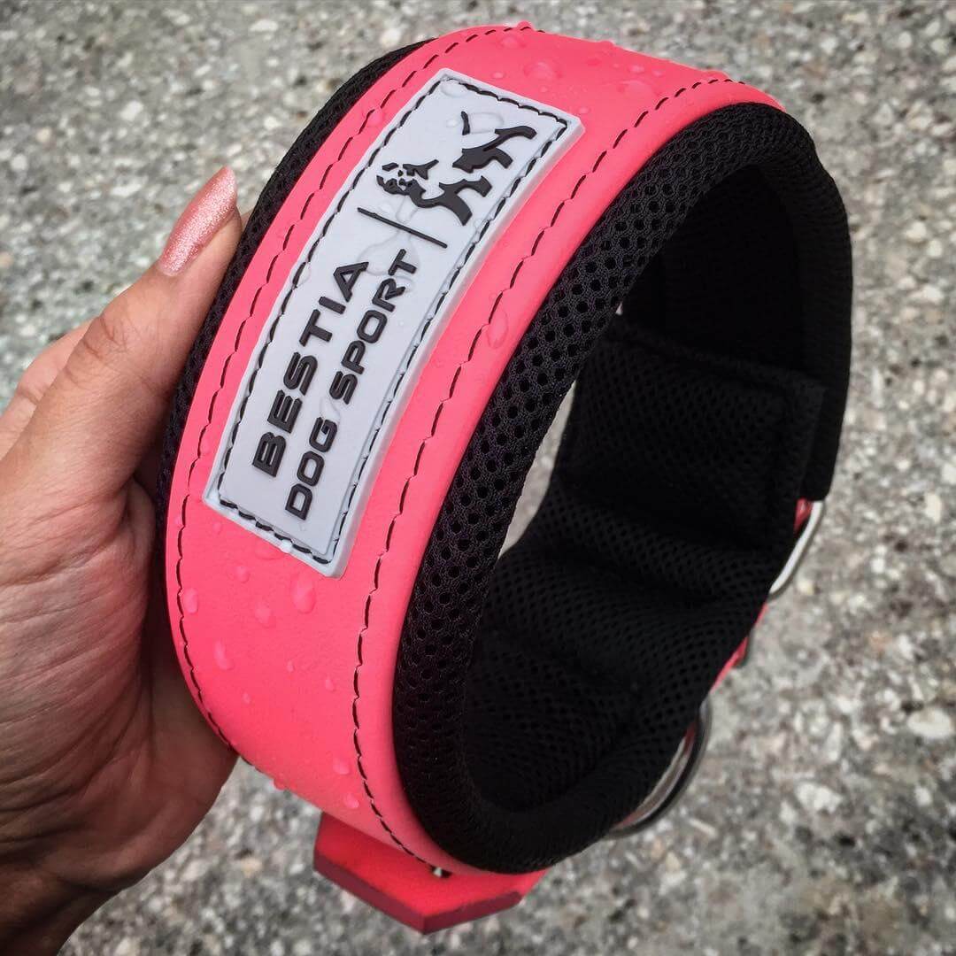 BESTIA DOG SPORT COLLAR NEON PINK - גו סטור (Go Store) - BESTIA DOG SPORT COLLAR NEON PINK - גו סטור (Go Store)