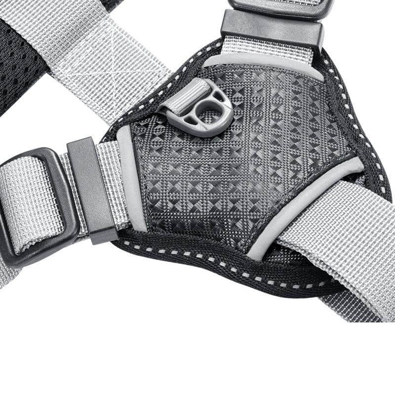 Stylish Polyester Dog Leash Collar - Perfect For Small Dogs! - גו סטור (Go Store) - Stylish Polyester Dog Leash Collar - Perfect For Small Dogs! - גו סטור (Go Store)