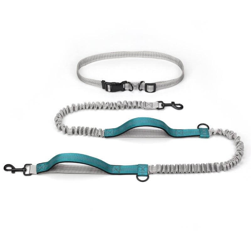 Ultimate Outdoor Adventure Dog Leash - גו סטור (Go Store) - Ultimate Outdoor Adventure Dog Leash - גו סטור (Go Store)