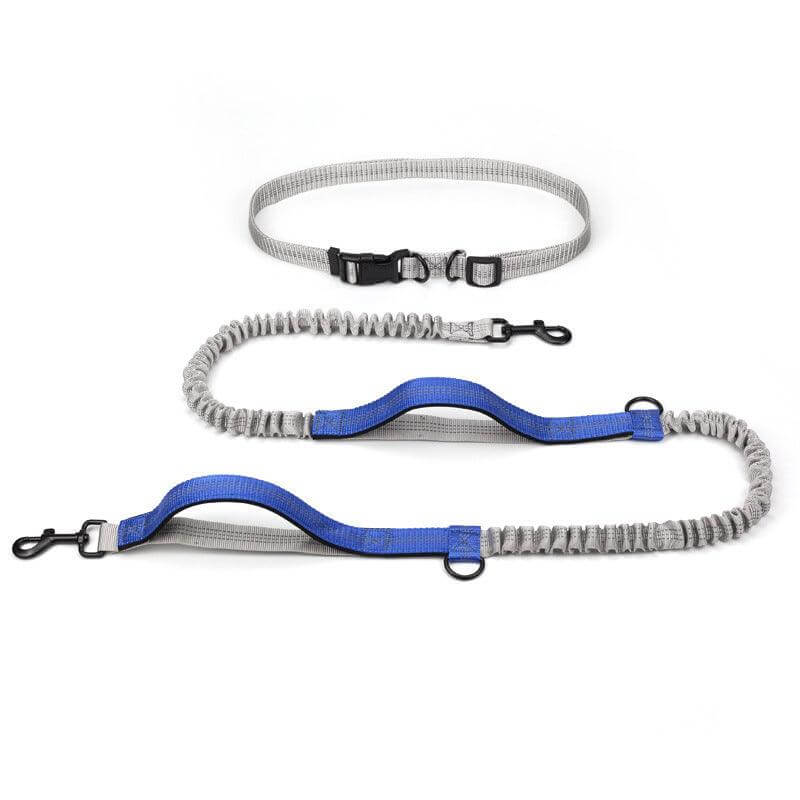 Ultimate Outdoor Adventure Dog Leash - גו סטור (Go Store) - Ultimate Outdoor Adventure Dog Leash - גו סטור (Go Store)