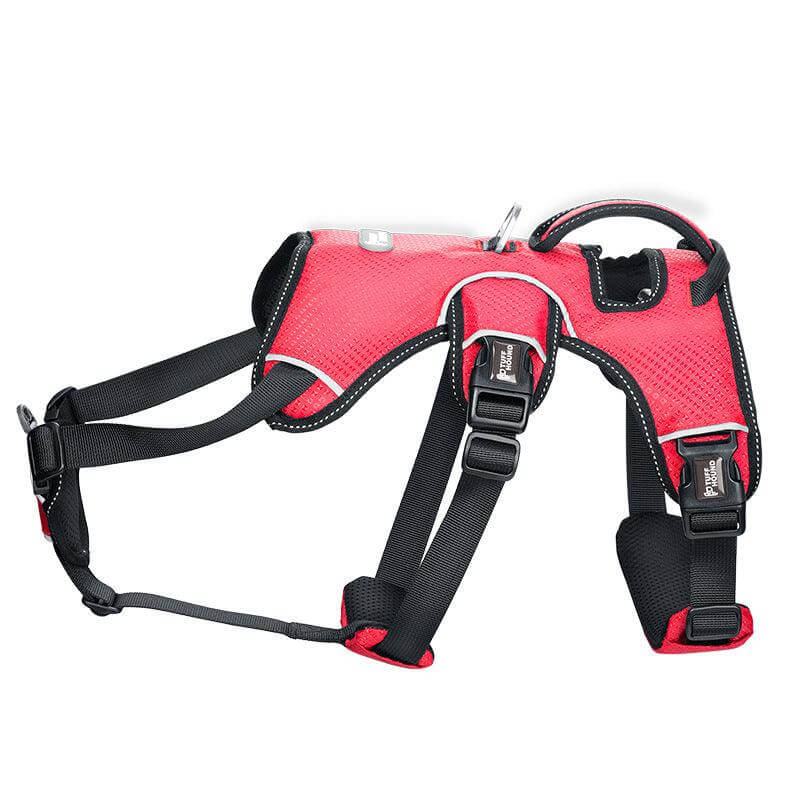Stylish Polyester Dog Leash Collar - Perfect For Small Dogs! - גו סטור (Go Store) - Stylish Polyester Dog Leash Collar - Perfect For Small Dogs! - גו סטור (Go Store)