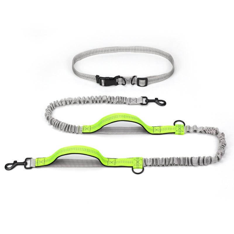 Ultimate Outdoor Adventure Dog Leash - גו סטור (Go Store) - Ultimate Outdoor Adventure Dog Leash - גו סטור (Go Store)