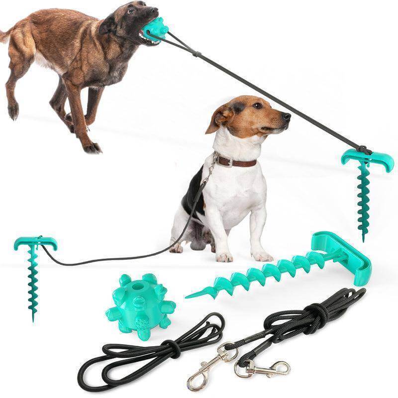 Outdoor Adventure Dog Leash Toy - גו סטור (Go Store) - Outdoor Adventure Dog Leash Toy - גו סטור (Go Store)