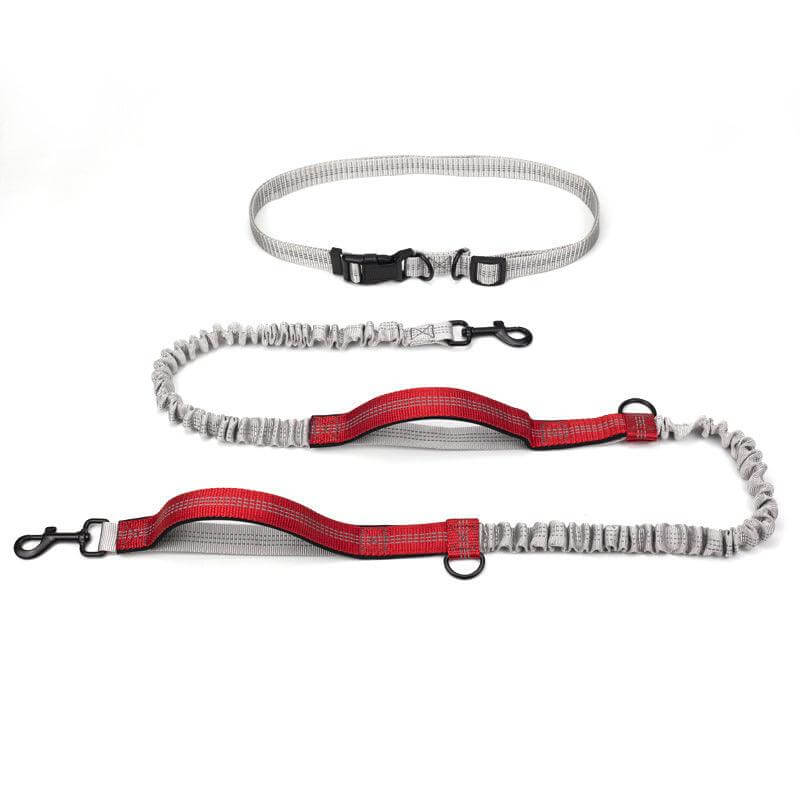 Ultimate Outdoor Adventure Dog Leash - גו סטור (Go Store) - Ultimate Outdoor Adventure Dog Leash - גו סטור (Go Store)