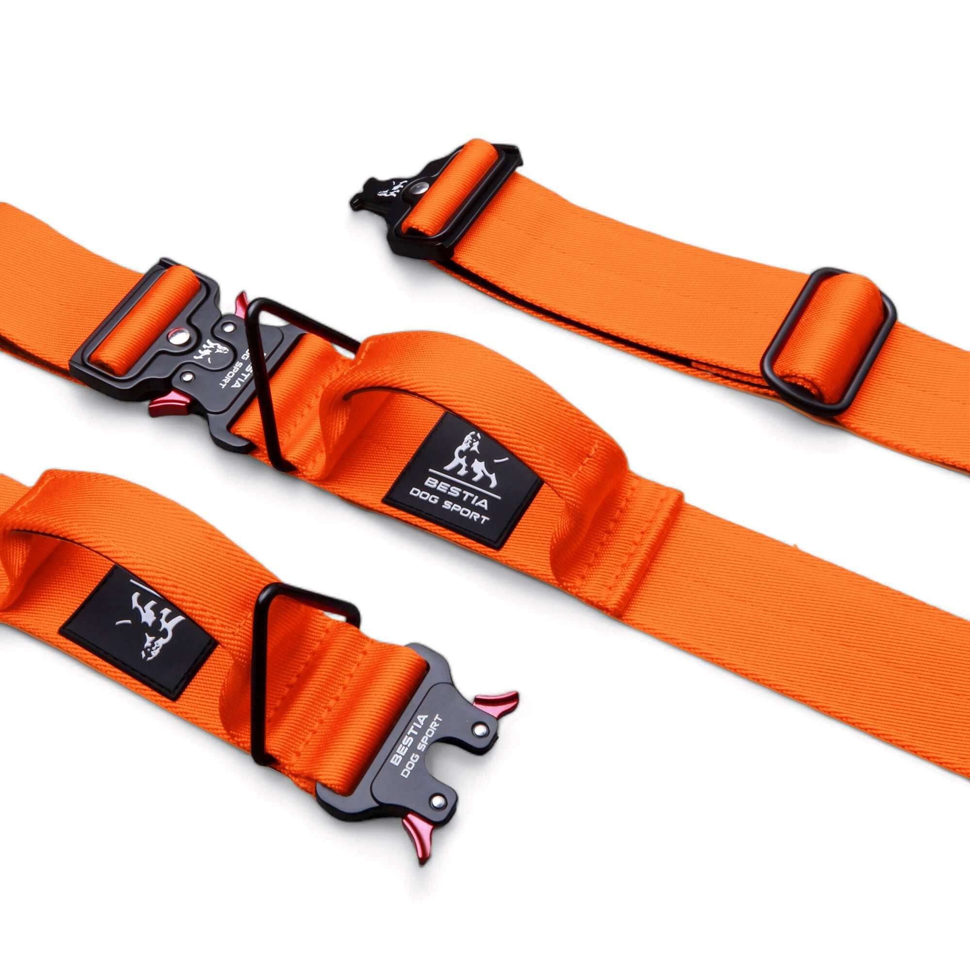 Bestia Dog Sport GripPro Handle Collar - גו סטור (Go Store) - Bestia Dog Sport GripPro Handle Collar - גו סטור (Go Store)