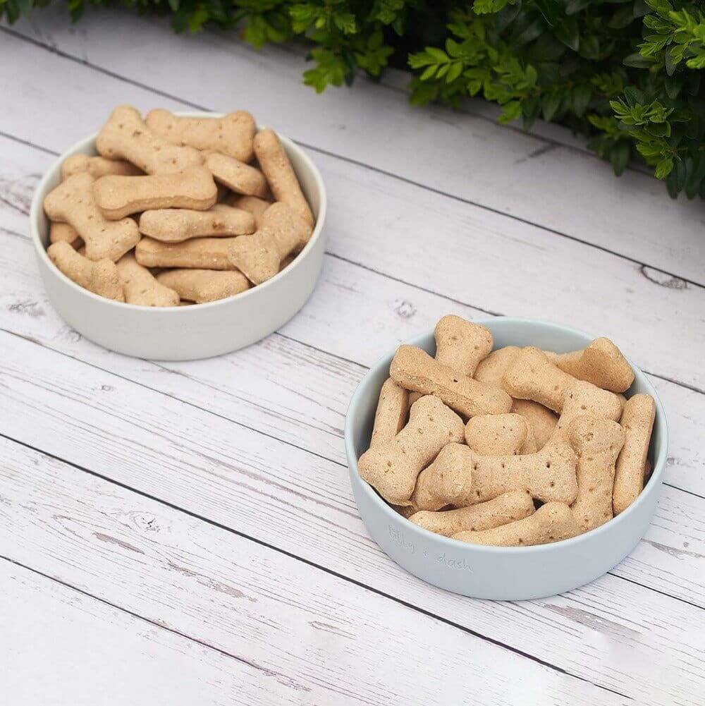 pet bowls - גו סטור (Go Store) - pet bowls - גו סטור (Go Store)