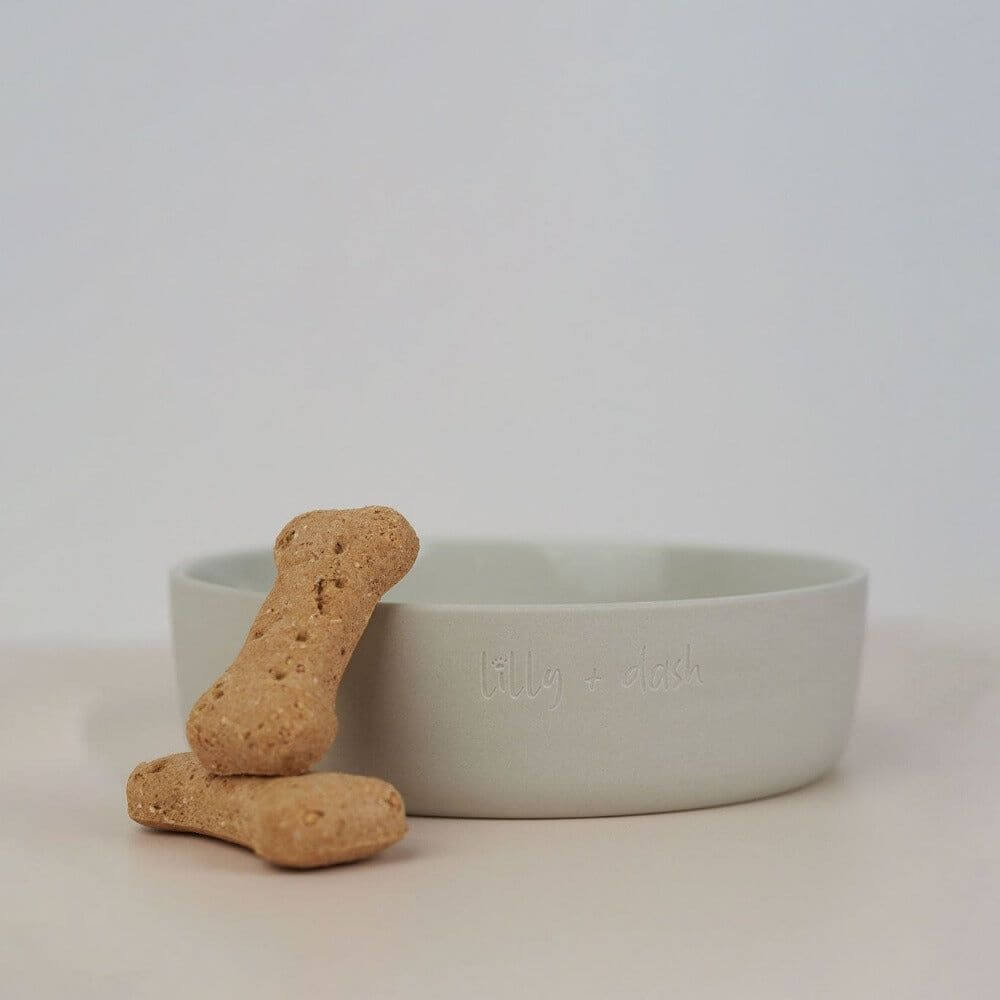 pet bowls - גו סטור (Go Store) - pet bowls - גו סטור (Go Store)