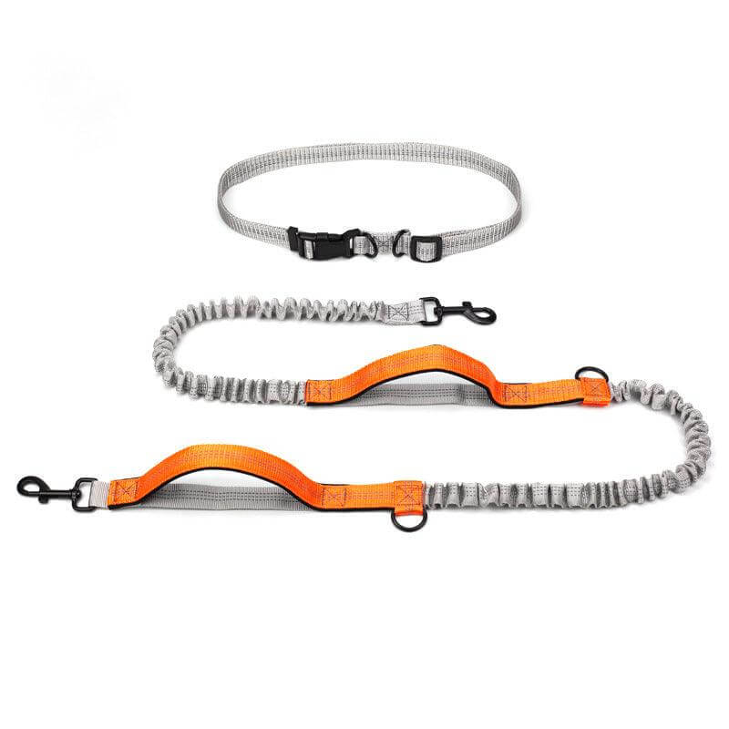 Ultimate Outdoor Adventure Dog Leash - גו סטור (Go Store) - Ultimate Outdoor Adventure Dog Leash - גו סטור (Go Store)