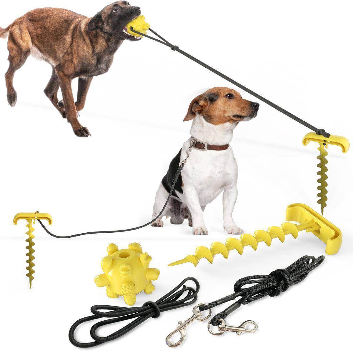 Outdoor Adventure Dog Leash Toy - גו סטור (Go Store) - Outdoor Adventure Dog Leash Toy - גו סטור (Go Store)