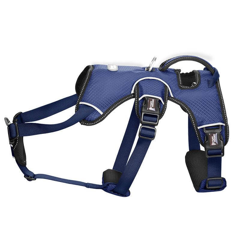 Stylish Polyester Dog Leash Collar - Perfect For Small Dogs! - גו סטור (Go Store) - Stylish Polyester Dog Leash Collar - Perfect For Small Dogs! - גו סטור (Go Store)