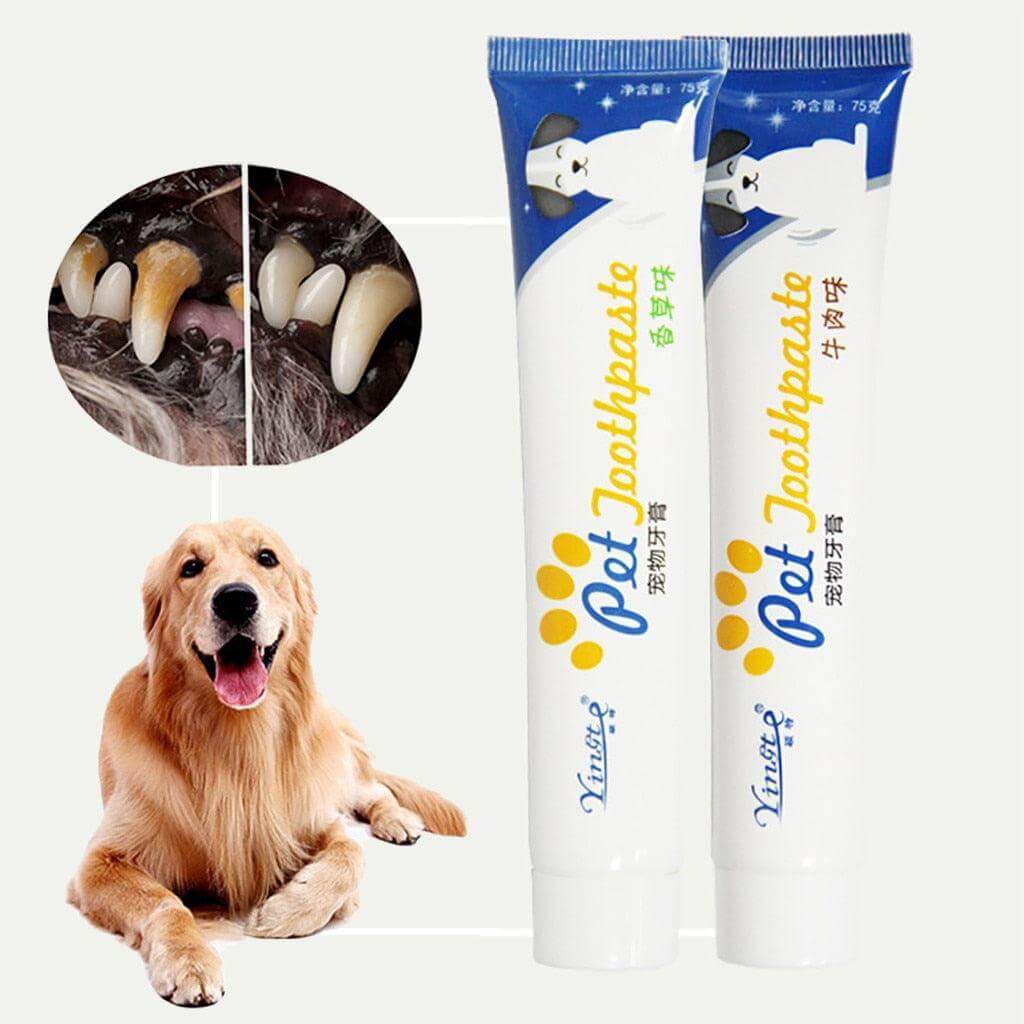 Dog Toothpaste - גו סטור (Go Store) - Dog Toothpaste - גו סטור (Go Store)